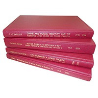 Marital Stress And Breakdown Among Clergy In The Uniting Church In Australia (N.S.W. Synod): One Model Of Identification, Assessment And Intervention.