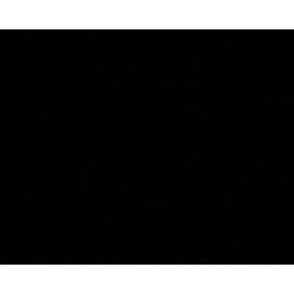 Glimpses into the life of the Assembly