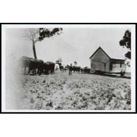 Cowabbie Presbyterian