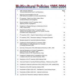 Multicultural policies 1985-2004