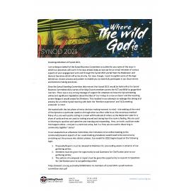 39th Meeting - Minutes (Synod of NSW and the ACT) - Where the wild God is (Part A)