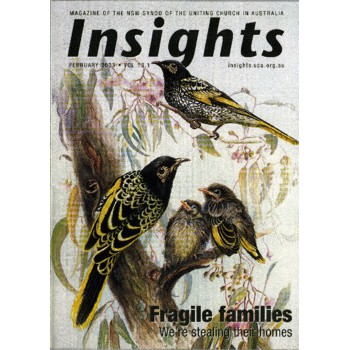 Insights - 13.1