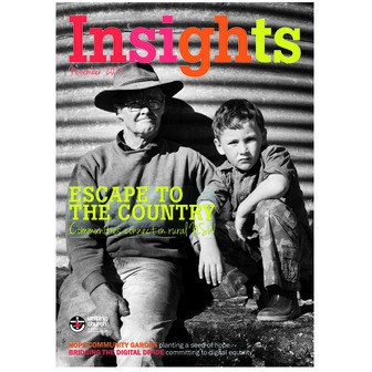 Insights - 23.10