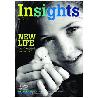 Insights - 24.3